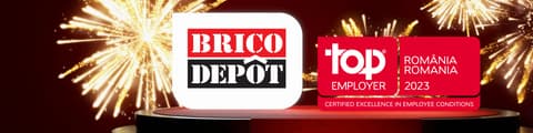 Brico Depôt3