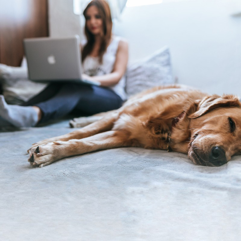 Organizarea eficientă a timpului de lucru când lucrezi de acasă