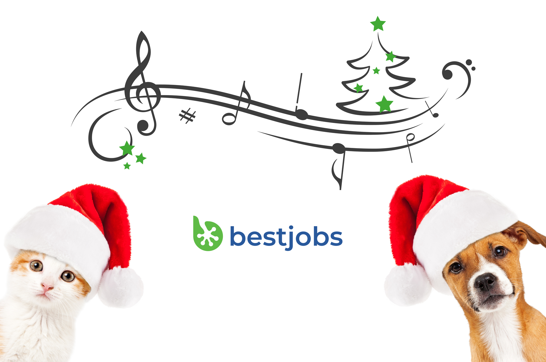 Sărbători frumoase!